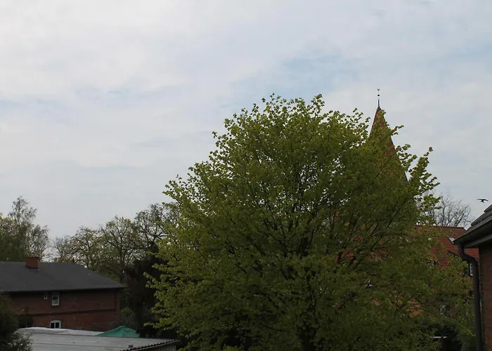 Danas , Nur 200 M Vom Entfernt דירה רריק